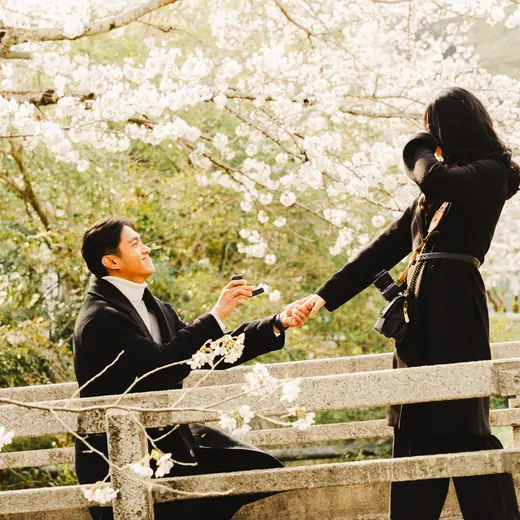 The proposal